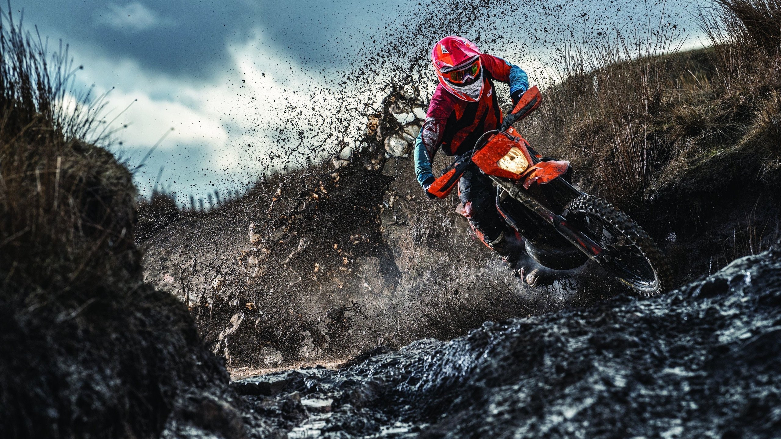 国王二轮秀表现出色或成球队X因素，国王队二号是谁