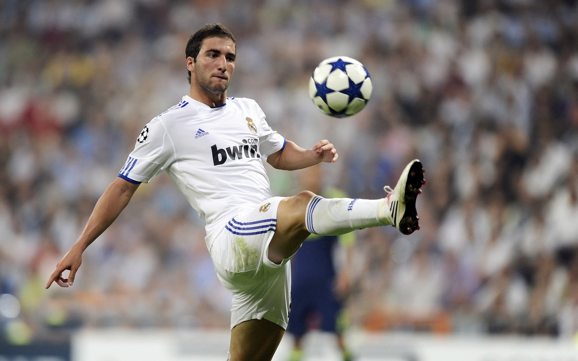 皮特·斯图斯领衔南非防线，带领羚羊队冲击冠军